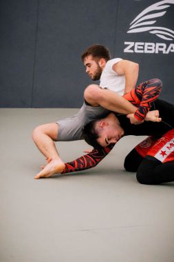 FREE STYLE WRESTLING