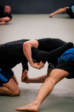 FREE STYLE WRESTLING