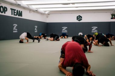 FREE STYLE WRESTLING