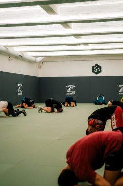 FREE STYLE WRESTLING