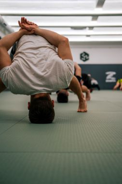 FREE STYLE WRESTLING